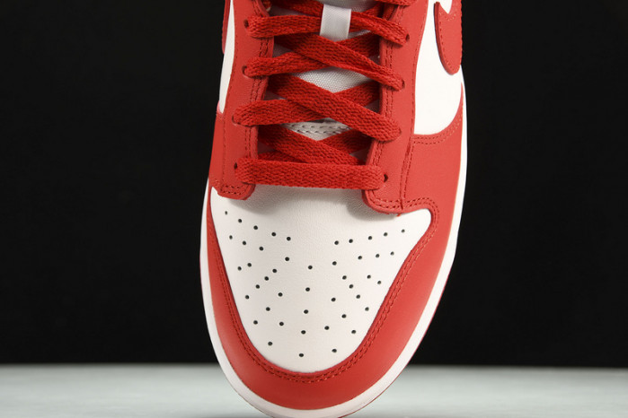 dunk low retro sp 